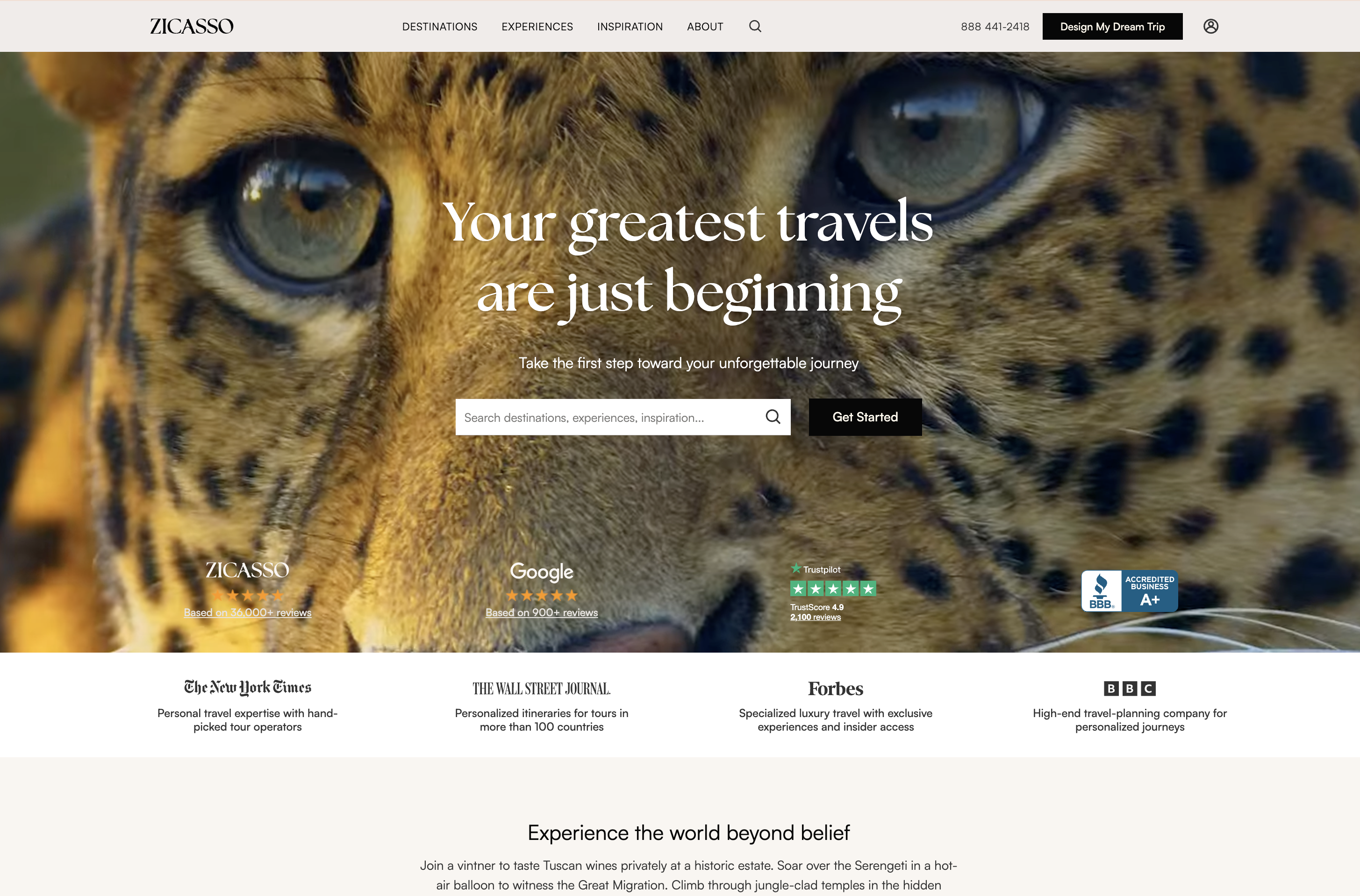 Zicasso homepage with a luxury travel search over a cheetah photograph